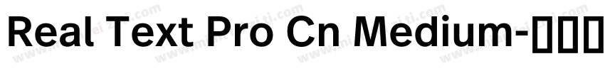 Real Text Pro Cn Medium字体转换